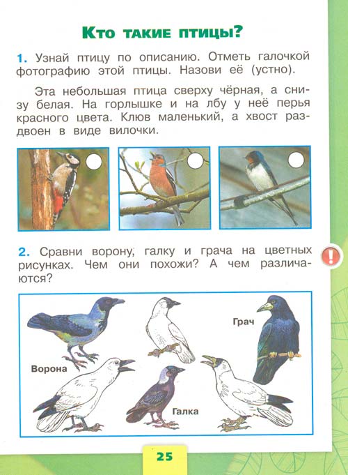 рабочая тетрадь по окружающему миру 1 класс, Плешаков - 1 часть страница 25