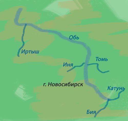 окружающий мир 1 класс рабочая тетрадь 1 часть Плешаков страница 41. Номер 3