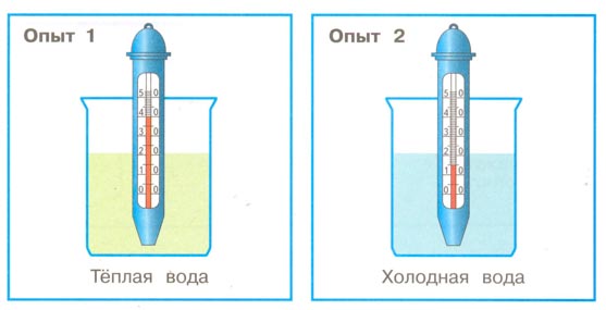 окружающий мир 1 класс рабочая тетрадь 1 часть Плешаков страница 42. Номер 1