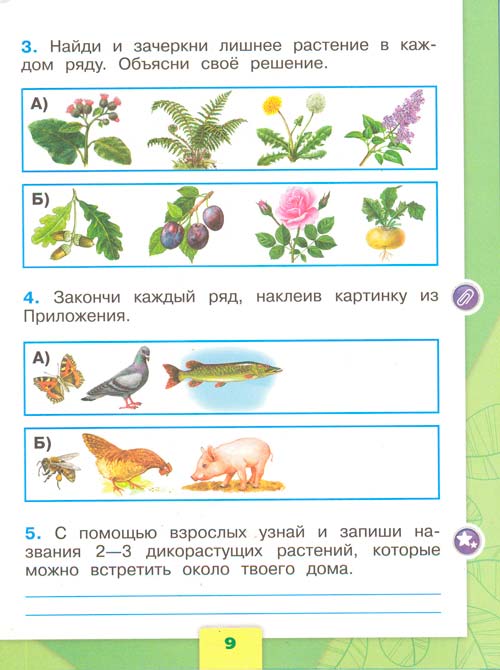 рабочая тетрадь по окружающему миру 1 класс, Плешаков - 1 часть страница 9