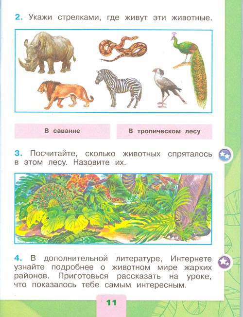 рабочая тетрадь по окружающему миру 1 класс, Плешаков - 2 часть страница 11(2024 год)