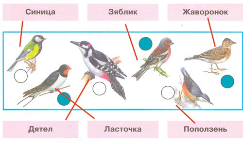 окружающий мир 1 класс рабочая тетрадь 2 часть Плешаков страница 12. Номер 1(2024 год)