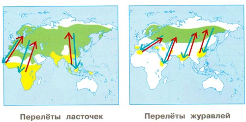 окружающий мир 1 класс рабочая тетрадь 2 часть Плешаков страница 12. Номер 2(2024 год)