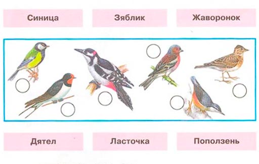 окружающий мир 1 класс рабочая тетрадь 2 часть Плешаков страница 12. Номер 1(2024 год)