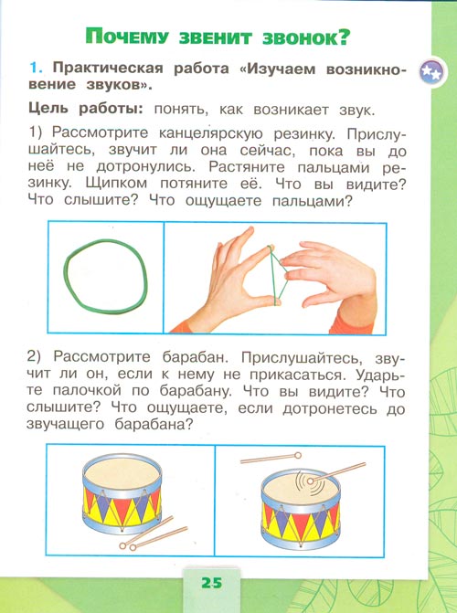 рабочая тетрадь по окружающему миру 1 класс, Плешаков - 2 часть страница 25(2024 год)