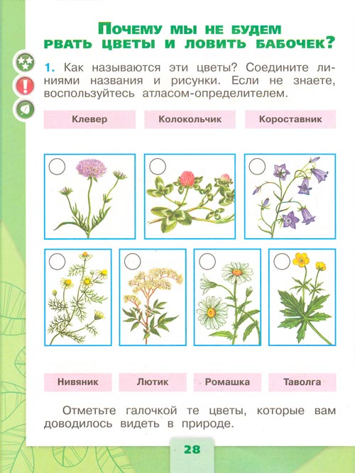 рабочая тетрадь по окружающему миру 1 класс, Плешаков - 2 часть страница 28(2024 год)