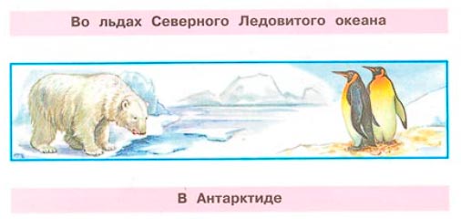 окружающий мир 1 класс рабочая тетрадь 2 часть Плешаков страница 9. Номер 2(2024 год)