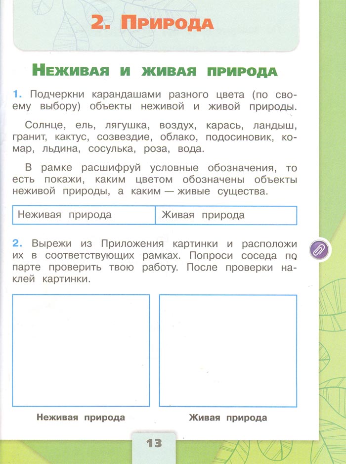 Картинка из рабочей тетради по Окружающему миру, страница 13. Плешаков. 2 класс, 1 часть 2 класс рабочая тетрадь. Окружающий мир. Плешаков. Страница 13. 1 часть, 2024 год