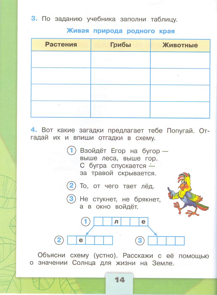 Картинка из рабочей тетради по Окружающему миру, страница 14. Плешаков. 2 класс, 1 часть 2 класс рабочая тетрадь. Окружающий мир. Плешаков. Страница 14. 1 часть, 2024 год