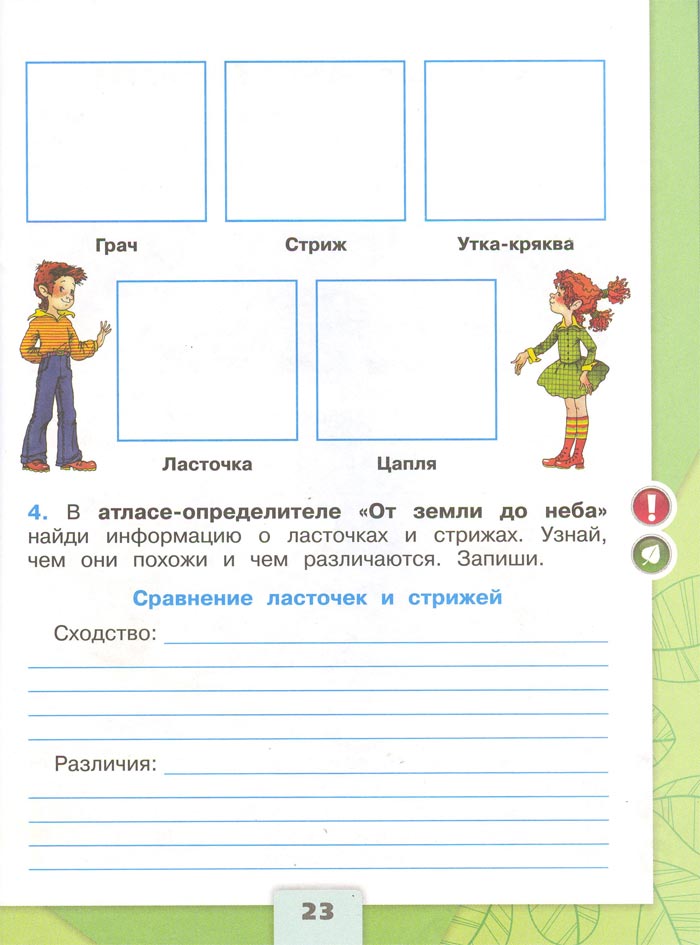 Картинка из рабочей тетради по Окружающему миру, страница 23. Плешаков. 2 класс, 1 часть 2 класс рабочая тетрадь. Окружающий мир. Плешаков. Страница 23. 1 часть, 2024 год