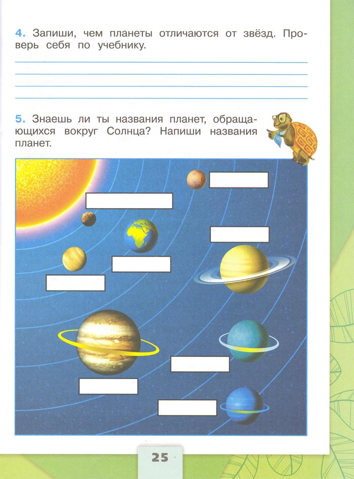 Картинка из рабочей тетради по Окружающему миру, страница 25. Плешаков. 2 класс, 1 часть 2 класс рабочая тетрадь. Окружающий мир. Плешаков. Страница 25. 1 часть, 2024 год