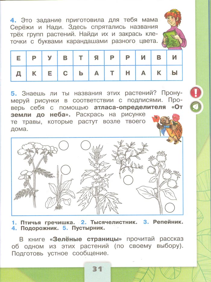 Картинка из рабочей тетради по Окружающему миру, страница 31. Плешаков. 2 класс, 1 часть 2 класс рабочая тетрадь. Окружающий мир. Плешаков. Страница 31. 1 часть, 2024 год