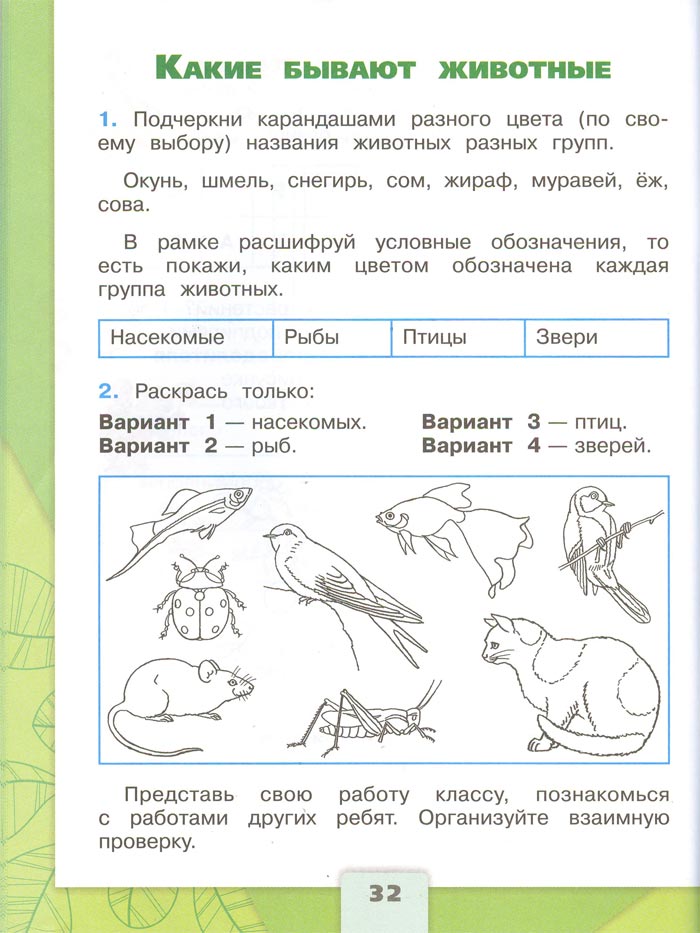 Картинка из рабочей тетради по Окружающему миру, страница 32. Плешаков. 2 класс, 1 часть 2 класс рабочая тетрадь. Окружающий мир. Плешаков. Страница 32. 1 часть, 2024 год