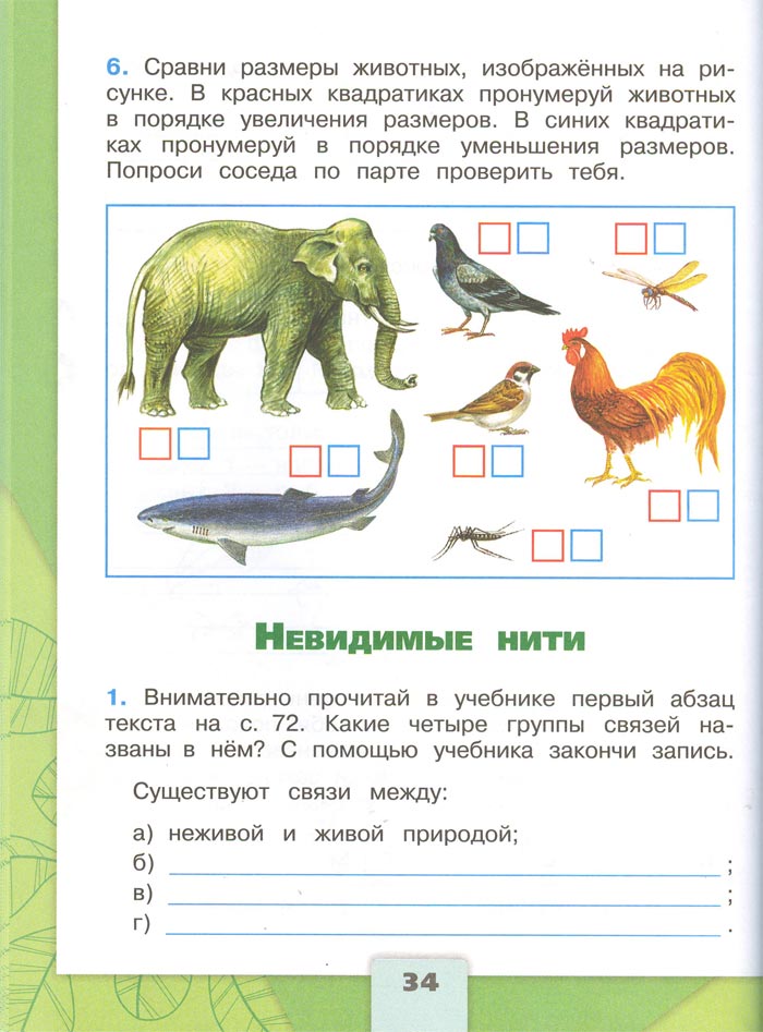 Картинка из рабочей тетради по Окружающему миру, страница 34. Плешаков. 2 класс, 1 часть 2 класс рабочая тетрадь. Окружающий мир. Плешаков. Страница 34. 1 часть, 2024 год