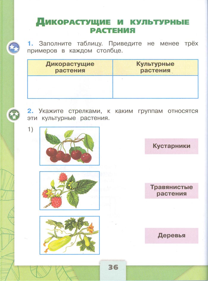Картинка из рабочей тетради по Окружающему миру, страница 36. Плешаков. 2 класс, 1 часть 2 класс рабочая тетрадь. Окружающий мир. Плешаков. Страница 36. 1 часть, 2024 год