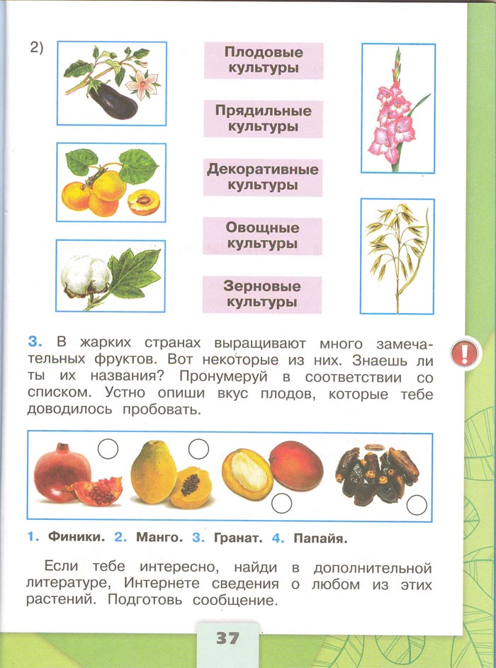 Картинка из рабочей тетради по Окружающему миру, страница 37. Плешаков. 2 класс, 1 часть 2 класс рабочая тетрадь. Окружающий мир. Плешаков. Страница 37. 1 часть, 2024 год
