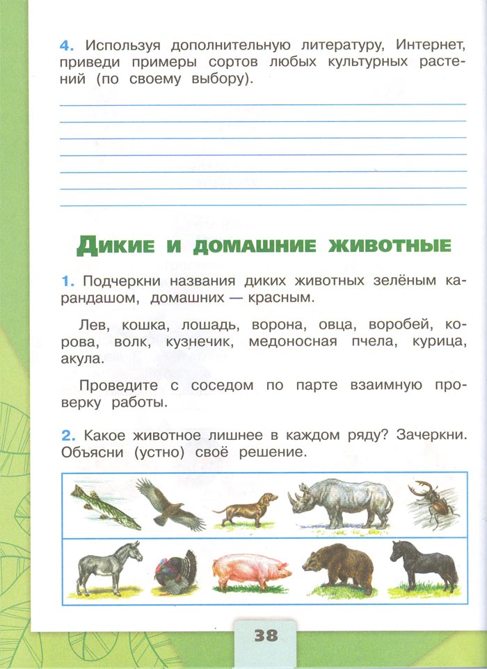 Картинка из рабочей тетради по Окружающему миру, страница 38. Плешаков. 2 класс, 1 часть 2 класс рабочая тетрадь. Окружающий мир. Плешаков. Страница 38. 1 часть, 2024 год