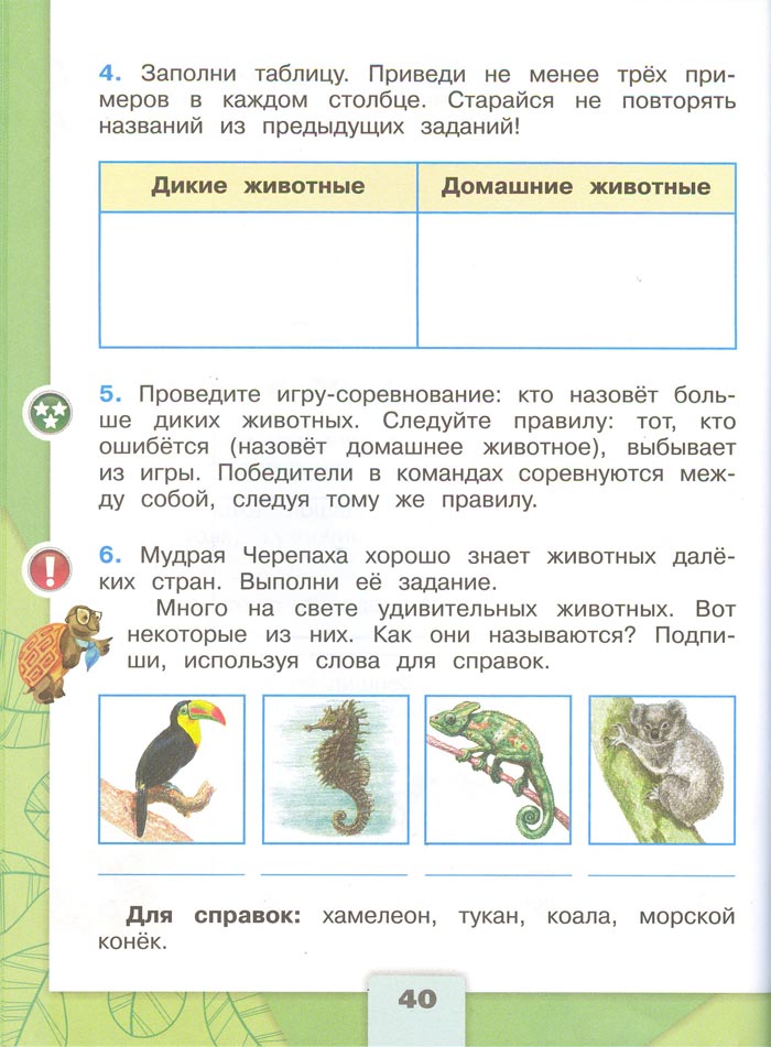 Картинка из рабочей тетради по Окружающему миру, страница 40. Плешаков. 2 класс, 1 часть 2 класс рабочая тетрадь. Окружающий мир. Плешаков. Страница 40. 1 часть, 2024 год