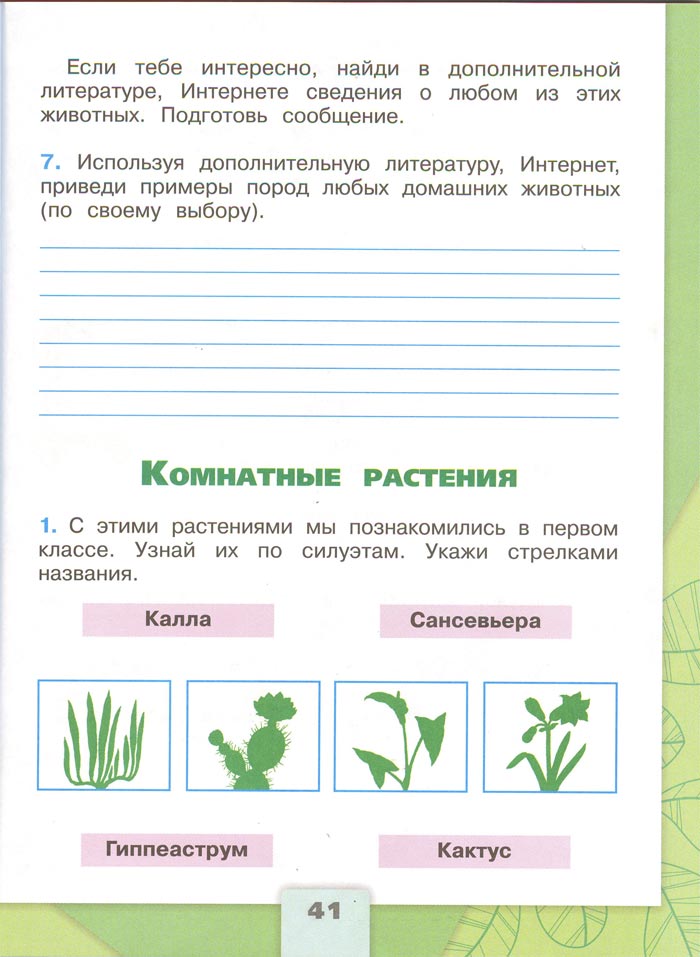 Картинка из рабочей тетради по Окружающему миру, страница 41. Плешаков. 2 класс, 1 часть 2 класс рабочая тетрадь. Окружающий мир. Плешаков. Страница 41. 1 часть, 2024 год