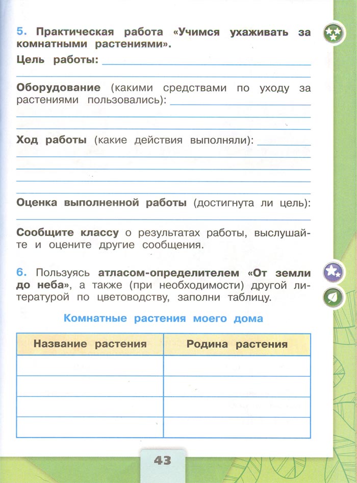 Картинка из рабочей тетради по Окружающему миру, страница 43. Плешаков. 2 класс, 1 часть 2 класс рабочая тетрадь. Окружающий мир. Плешаков. Страница 43. 1 часть, 2024 год