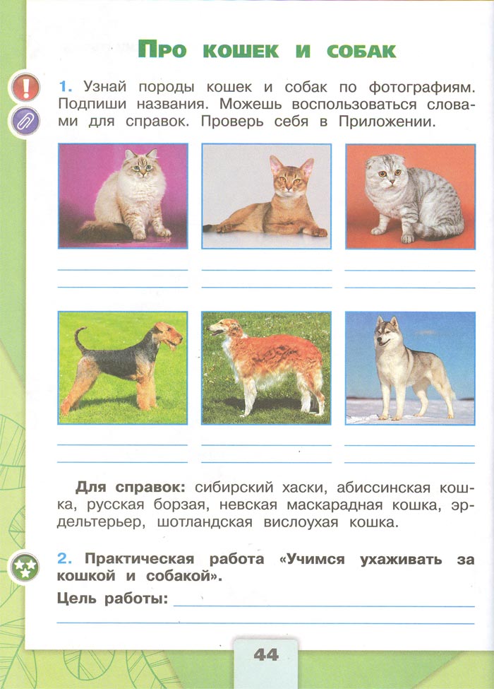Картинка из рабочей тетради по Окружающему миру, страница 44. Плешаков. 2 класс, 1 часть 2 класс рабочая тетрадь. Окружающий мир. Плешаков. Страница 44. 1 часть, 2024 год