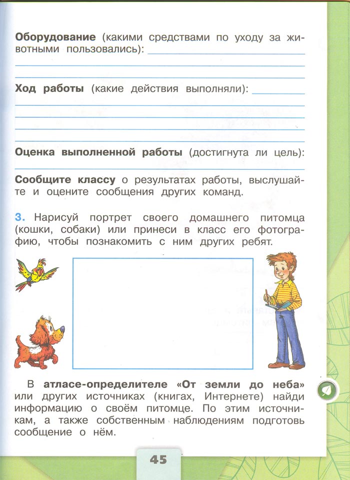 Картинка из рабочей тетради по Окружающему миру, страница 45. Плешаков. 2 класс, 1 часть 2 класс рабочая тетрадь. Окружающий мир. Плешаков. Страница 45. 1 часть, 2024 год