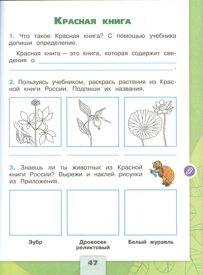 Картинка из рабочей тетради по Окружающему миру, страница 47. Плешаков. 2 класс, 1 часть 2 класс рабочая тетрадь. Окружающий мир. Плешаков. Страница 47. 1 часть, 2024 год