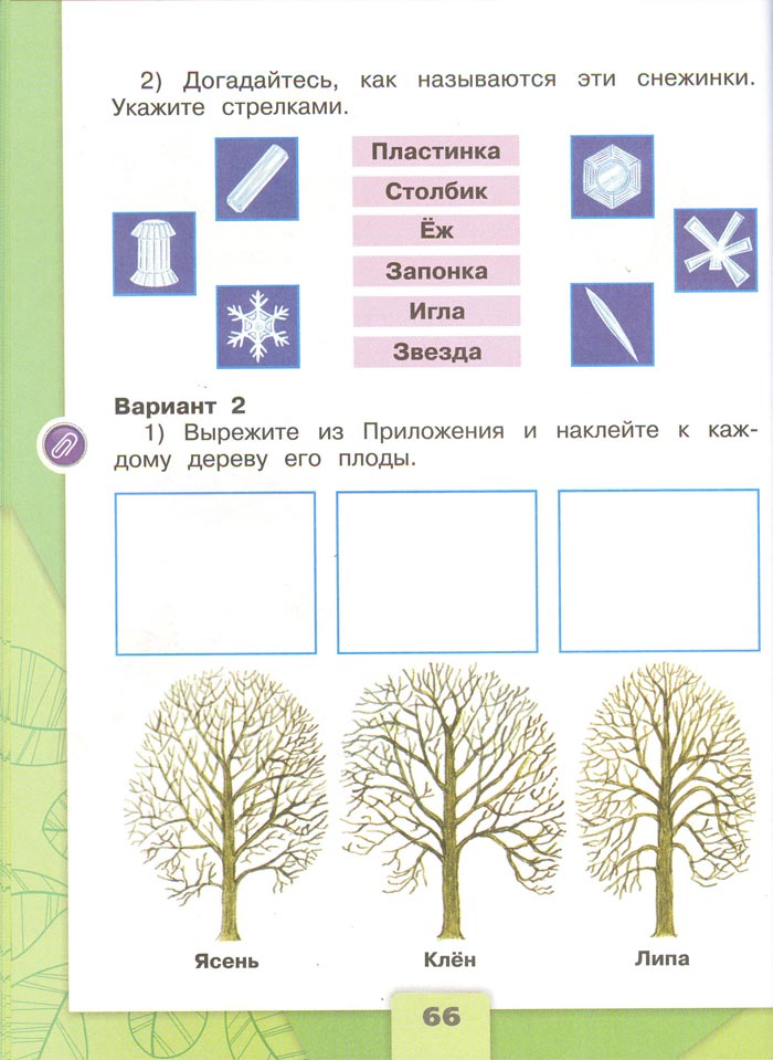 Картинка из рабочей тетради по Окружающему миру, страница 66. Плешаков. 2 класс, 1 часть 2 класс рабочая тетрадь. Окружающий мир. Плешаков. Страница 66. 1 часть, 2024 год
