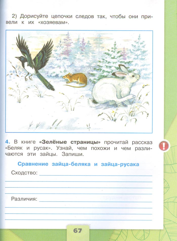 Картинка из рабочей тетради по Окружающему миру, страница 67. Плешаков. 2 класс, 1 часть 2 класс рабочая тетрадь. Окружающий мир. Плешаков. Страница 67. 1 часть, 2024 год