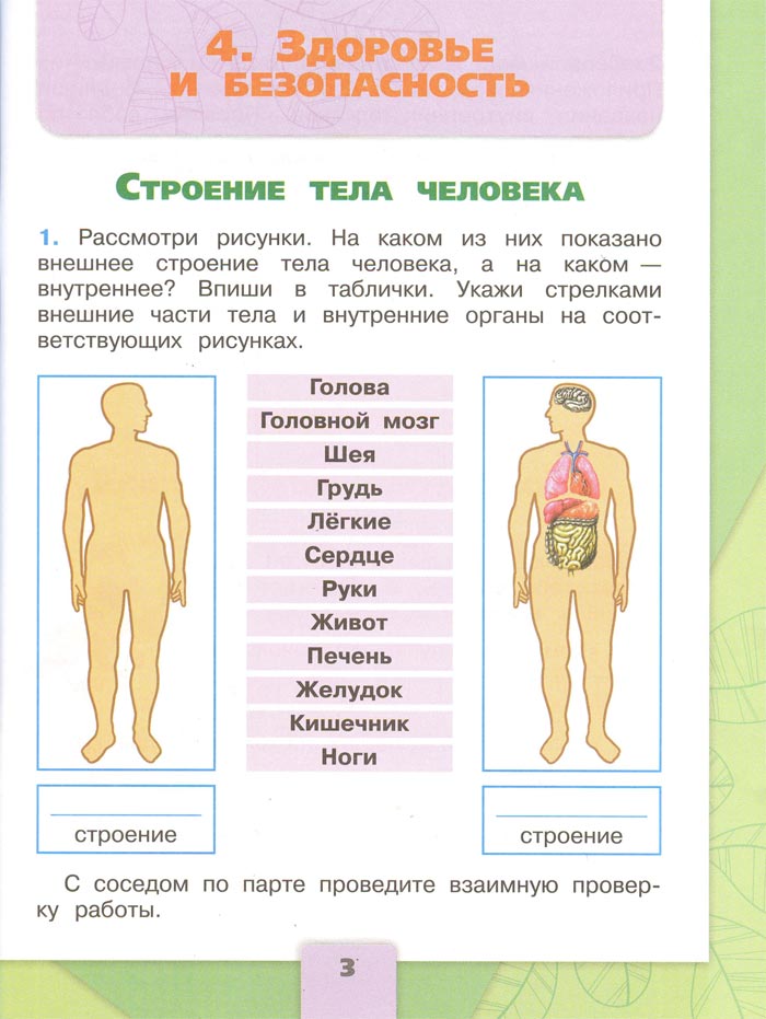 Картинка из рабочей тетради по Окружающему миру, страница 3. Плешаков. 2 класс, 2 часть 2 класс рабочая тетрадь. Окружающий мир. Плешаков. Страница 3. 2 часть, 2024 год