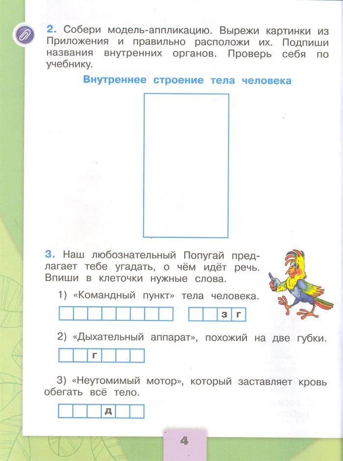 Картинка из рабочей тетради по Окружающему миру, страница 4. Плешаков. 2 класс, 2 часть 2 класс рабочая тетрадь. Окружающий мир. Плешаков. Страница 4. 2 часть, 2024 год