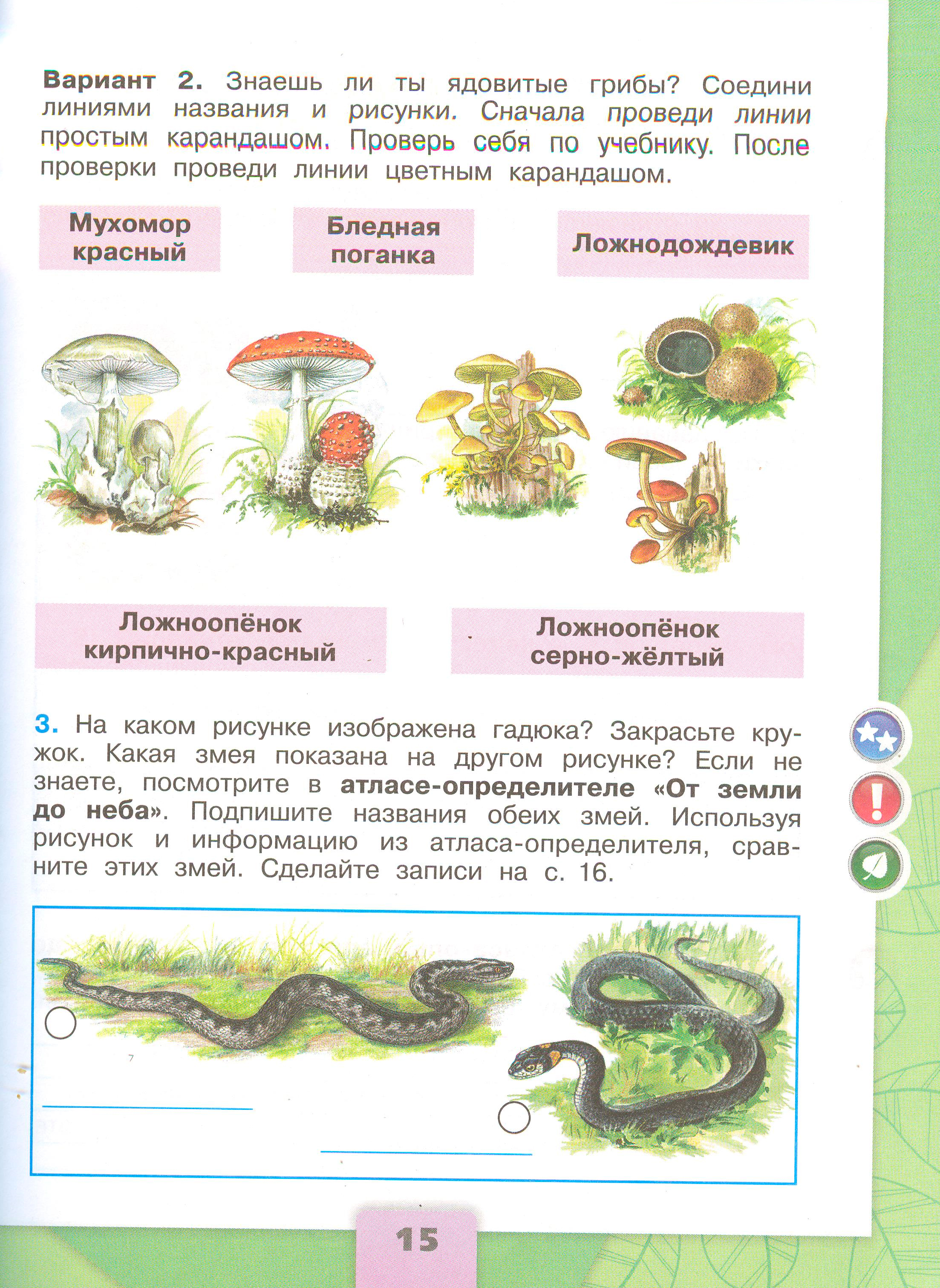 ГДЗ по окружающему миру 3 класс рабочая тетрадь Плешаков, страница 15