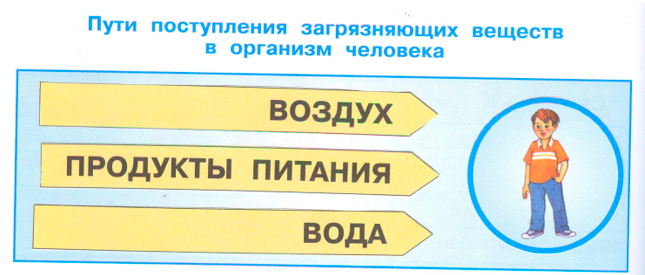 Рабочая тетрадь Плешаков 2 часть. Окружающий мир 3 класс, страница 17, 2024 год, номер 1. ГДЗ по окружающему миру 3 класс рабочая тетрадь Плешаков, страница 17, номер 1