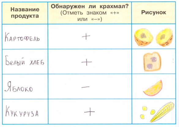 Рабочая тетрадь Плешаков 1 часть. Окружающий мир 3 класс, страница 20, 2024 год, номер 2. ГДЗ по окружающему миру 3 класс рабочая тетрадь Плешаков, страница 20, номер 2