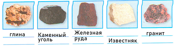 Рабочая тетрадь Плешаков 2 часть. Окружающий мир 3 класс, страница 28, 2024 год, номер 1. ГДЗ по окружающему миру 3 класс рабочая тетрадь Плешаков, страница 28, номер 1