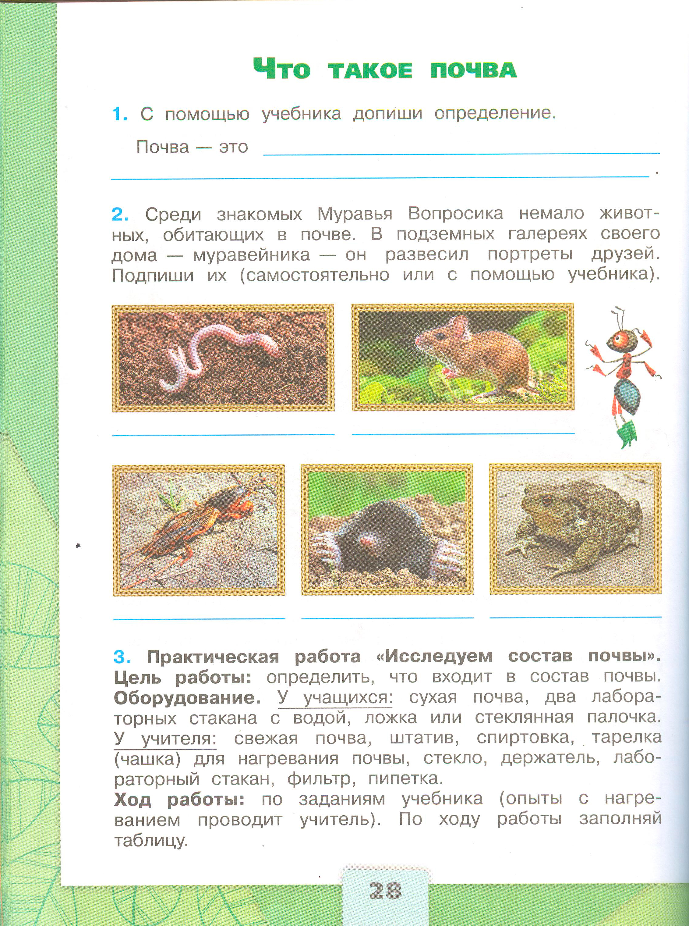 Рабочая тетрадь Плешаков 1 часть.Окружающий мир 3 класс, страница 28, 2024 год. ГДЗ по окружающему миру 3 класс рабочая тетрадь Плешаков, страница 28
