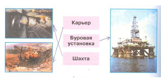 Рабочая тетрадь Плешаков 2 часть. Окружающий мир 3 класс, страница 30, 2024 год, номер 5. ГДЗ по окружающему миру 3 класс рабочая тетрадь Плешаков, страница 30, номер 5
