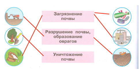 Рабочая тетрадь Плешаков 1 часть. Окружающий мир 3 класс, страница 30, 2024 год, номер 7. ГДЗ по окружающему миру 3 класс рабочая тетрадь Плешаков, страница 30, номер 7