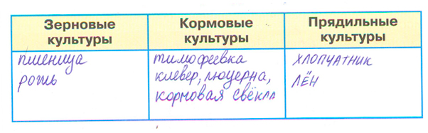Рабочая тетрадь Плешаков 2 часть. Окружающий мир 3 класс, страница 31, 2024 год, номер 4. ГДЗ по окружающему миру 3 класс рабочая тетрадь Плешаков, страница 31, номер 4