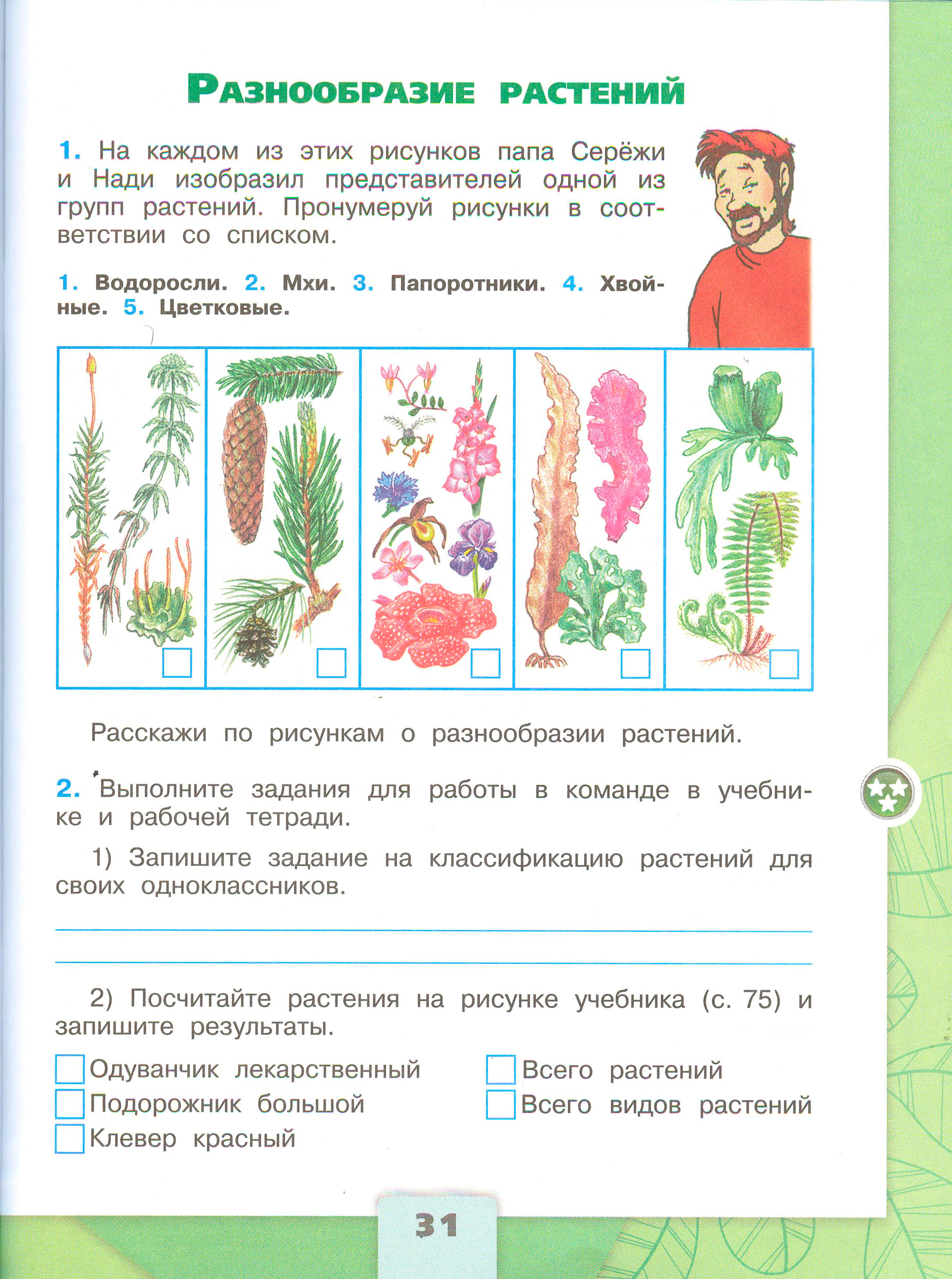 ГДЗ по окружающему миру 3 класс рабочая тетрадь Плешаков, страница 31