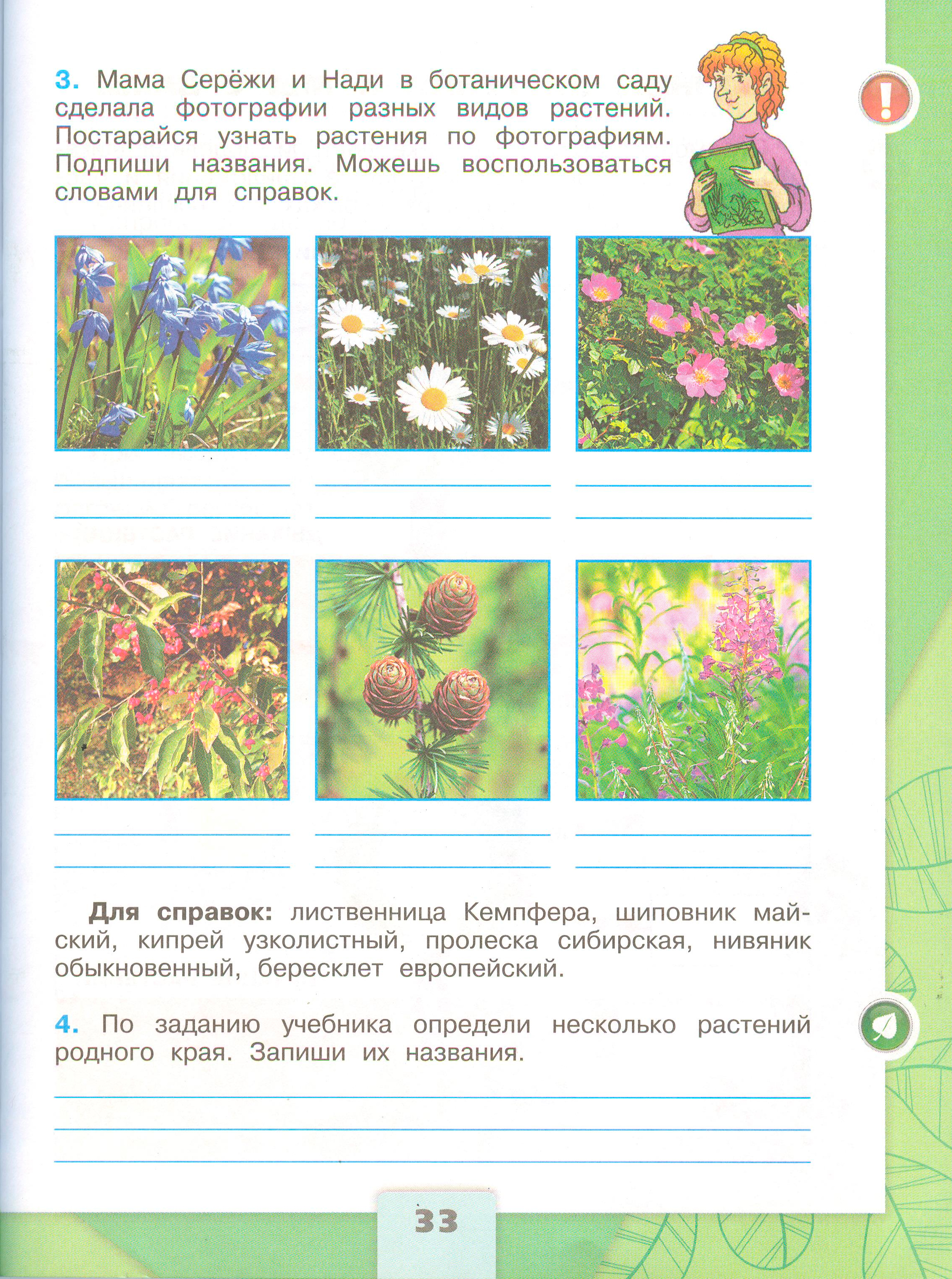 Рабочая тетрадь Плешаков 1 часть. Окружающий мир 3 класс, страница 33, 2024 год. ГДЗ по окружающему миру 3 класс рабочая тетрадь Плешаков, страница 33