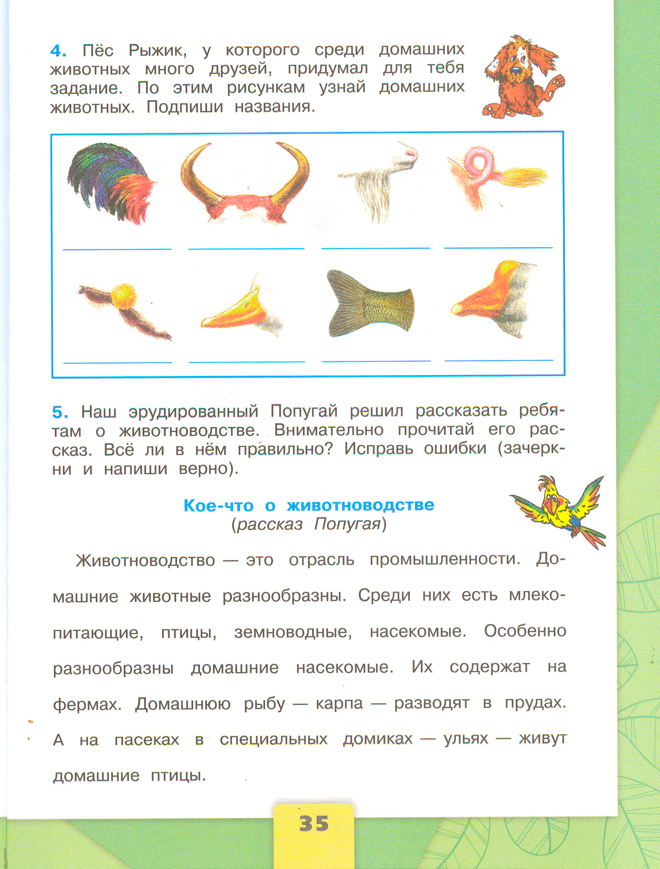 ГДЗ по окружающему миру 3 класс рабочая тетрадь Плешаков, страница 35