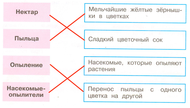 ГДЗ по окружающему миру 3 класс рабочая тетрадь Плешаков, страница 36, номер 1