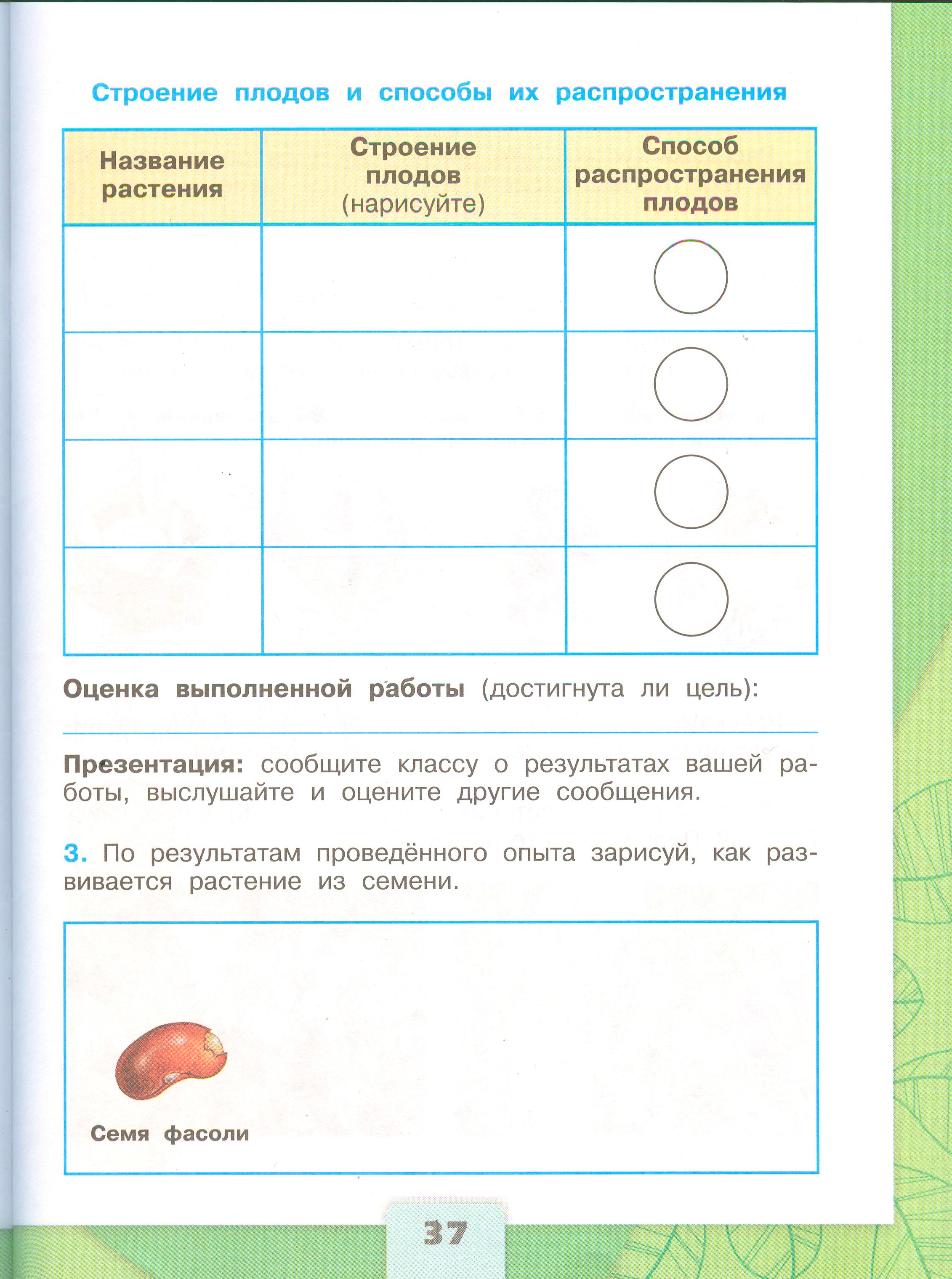 Рабочая тетрадь Плешаков 1 часть. Окружающий мир 3 класс, страница 37, 2024 год. ГДЗ по окружающему миру 3 класс рабочая тетрадь Плешаков, страница 37