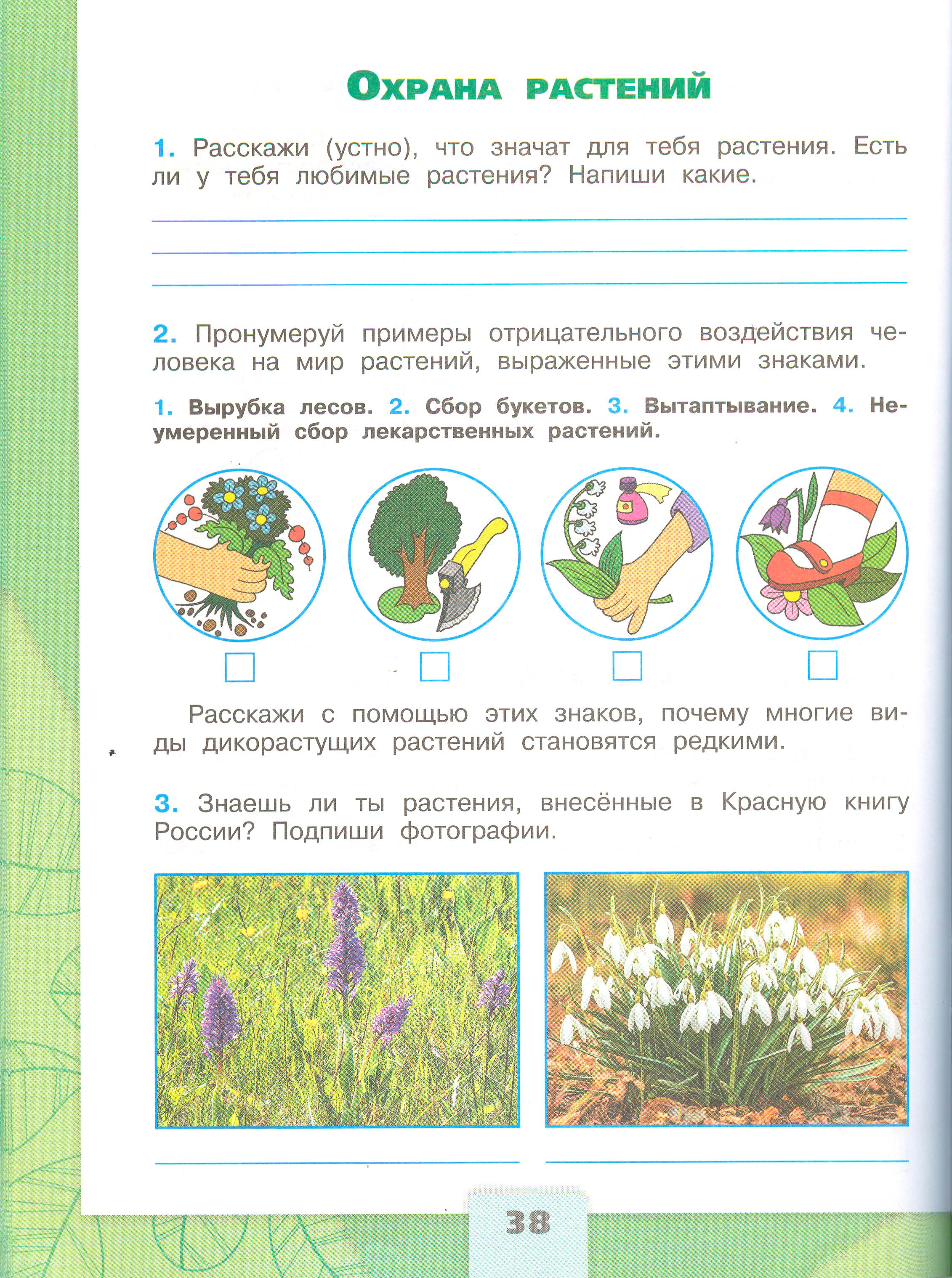 Рабочая тетрадь Плешаков 1 часть. Окружающий мир 3 класс, страница 38, 2024 год. ГДЗ по окружающему миру 3 класс рабочая тетрадь Плешаков, страница 38