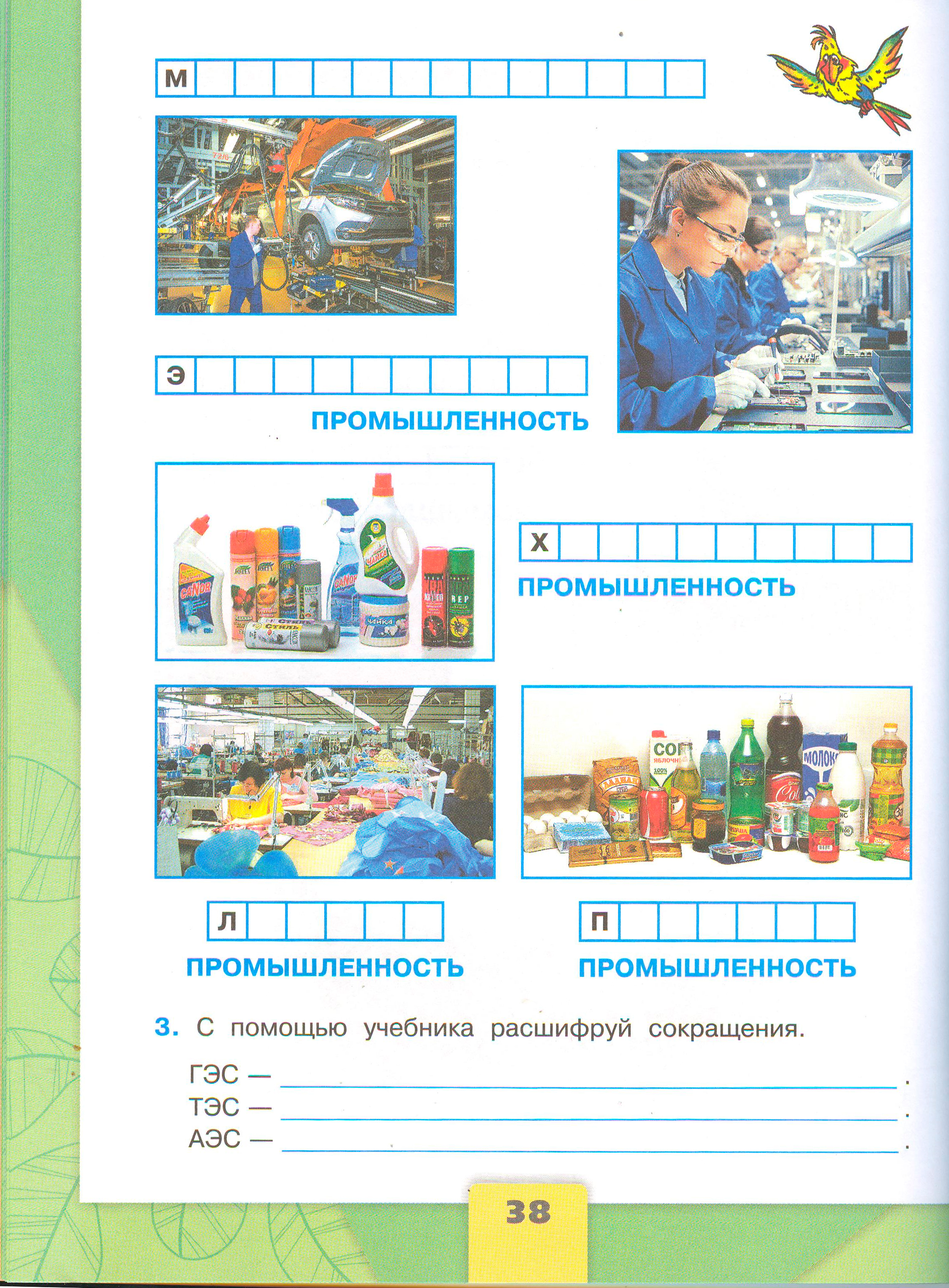 ГДЗ по окружающему миру 3 класс рабочая тетрадь Плешаков, страница 38