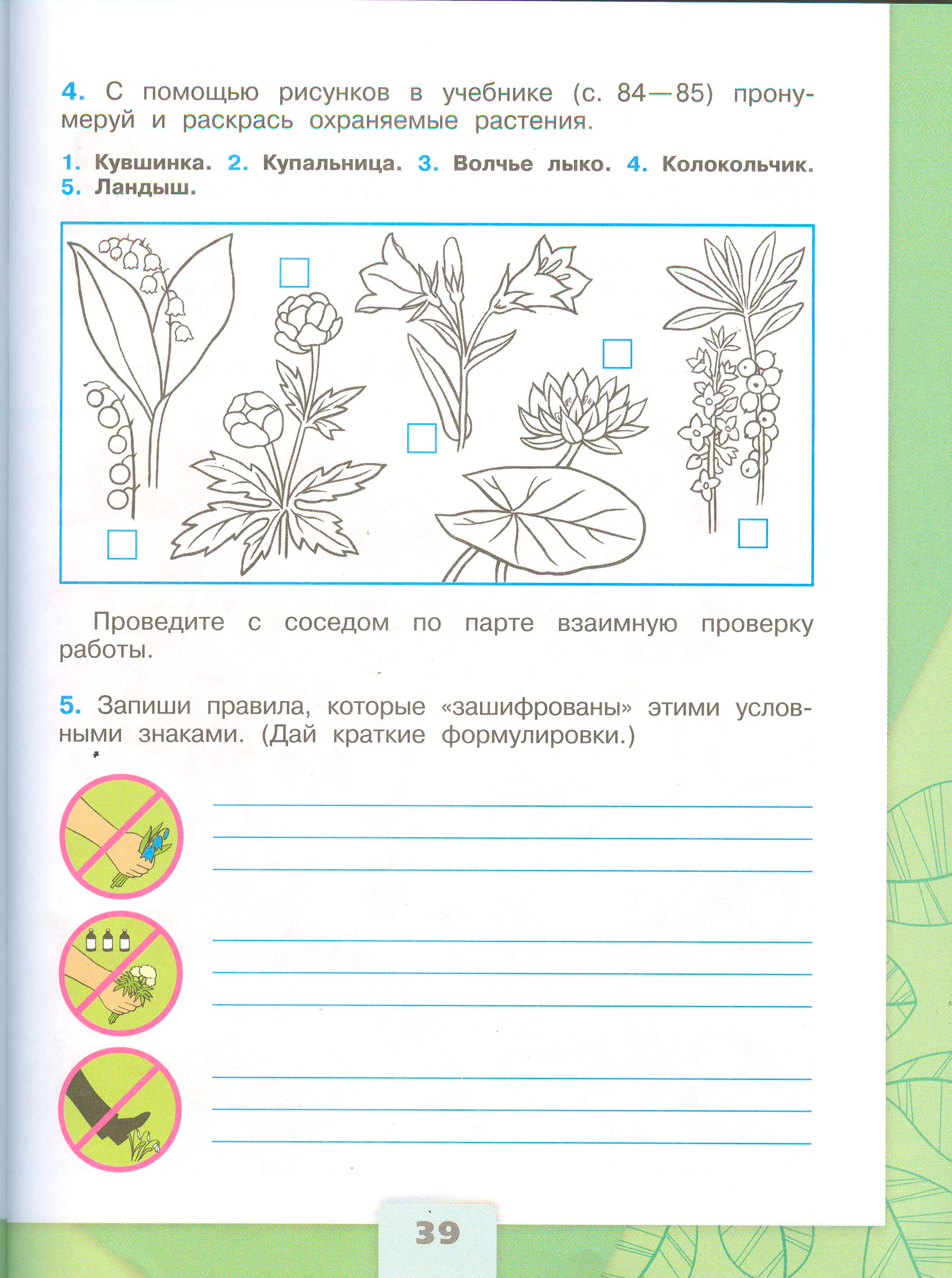 Рабочая тетрадь Плешаков 1 часть. Окружающий мир 3 класс, страница 39, 2024 год. ГДЗ по окружающему миру 3 класс рабочая тетрадь Плешаков, страница 39