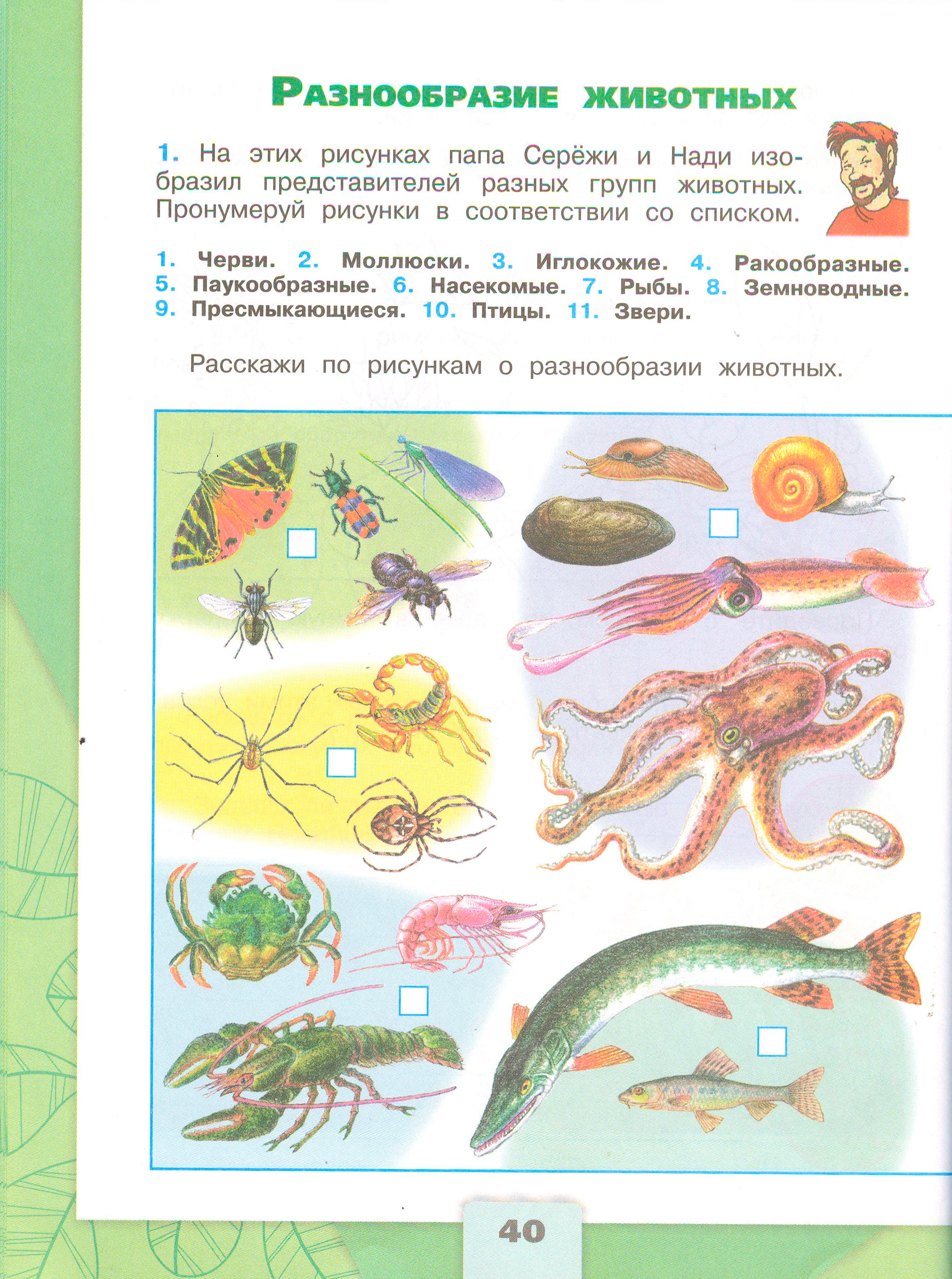 Рабочая тетрадь Плешаков 1 часть. Окружающий мир 3 класс, страница 40, 2024 год. ГДЗ по окружающему миру 3 класс рабочая тетрадь Плешаков, страница 40