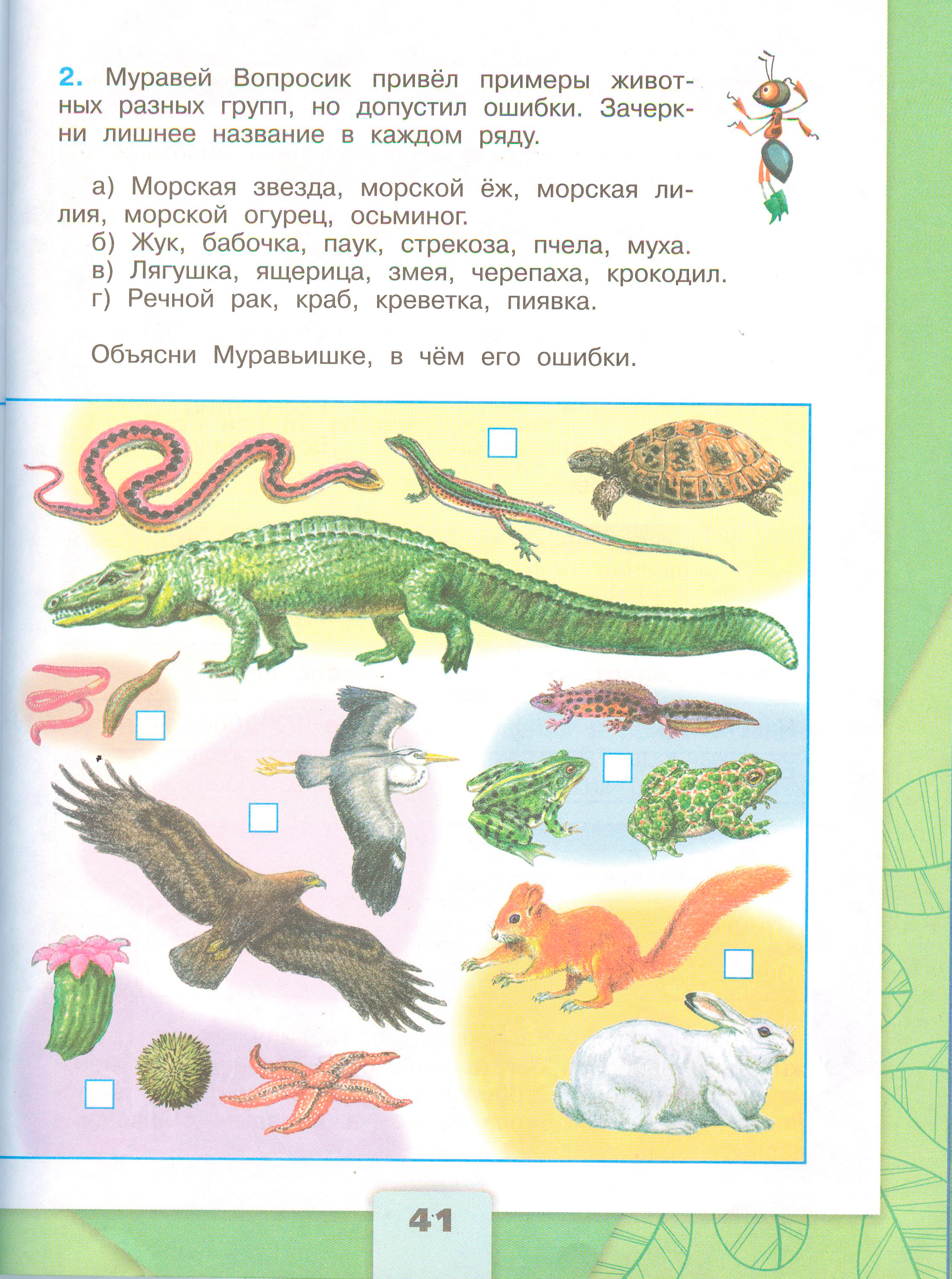 Рабочая тетрадь Плешаков 1 часть. Окружающий мир 3 класс, страница 41, 2024 год. ГДЗ по окружающему миру 3 класс рабочая тетрадь Плешаков, страница 41