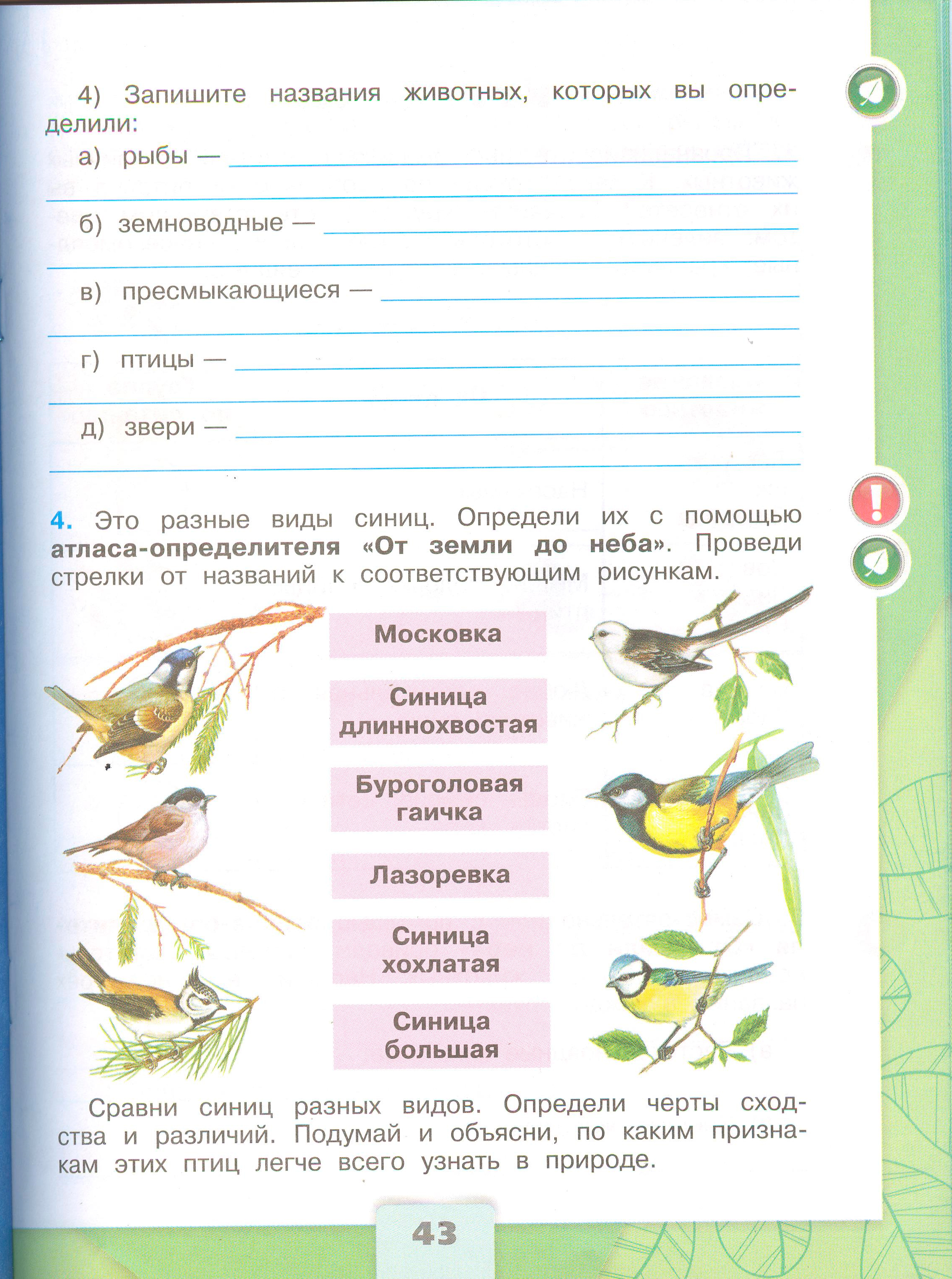 Рабочая тетрадь Плешаков 1 часть. Окружающий мир 3 класс, страница 43, 2024 год. ГДЗ по окружающему миру 3 класс рабочая тетрадь Плешаков, страница 43